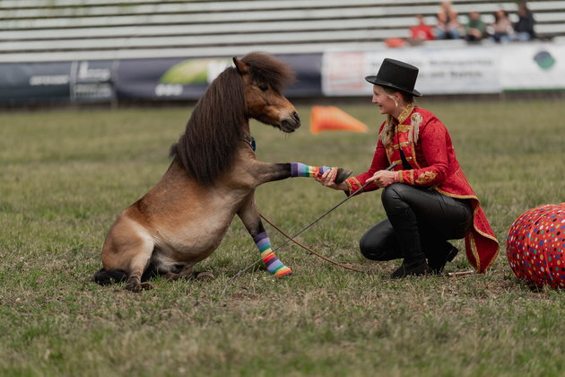 PferdInternational_Showprogramm-233