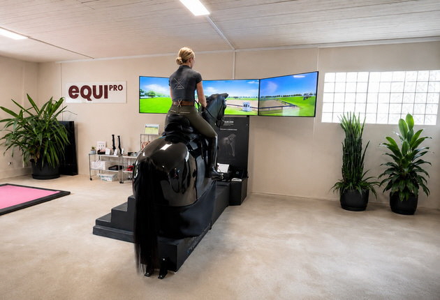 Dressurreiten Reitsimulator