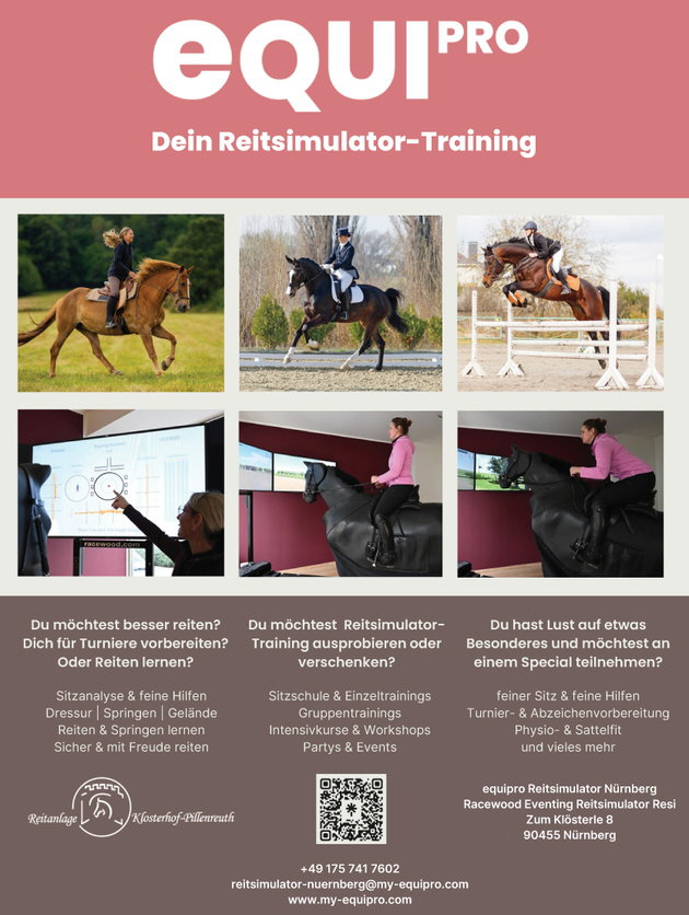 Flyer equipro Reitsimulator N�rnberg copy
